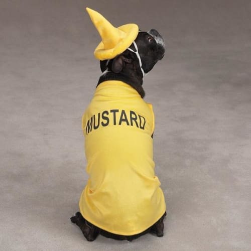 Mustard Dog Halloween Costume