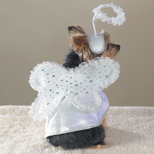 My Lil Angel Paws Dog Costume