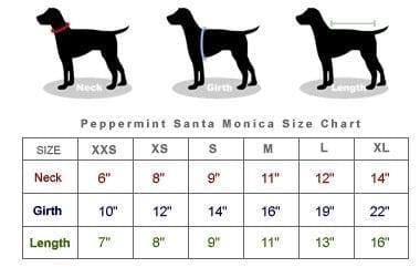 Mykonos Dog Swim Trunks