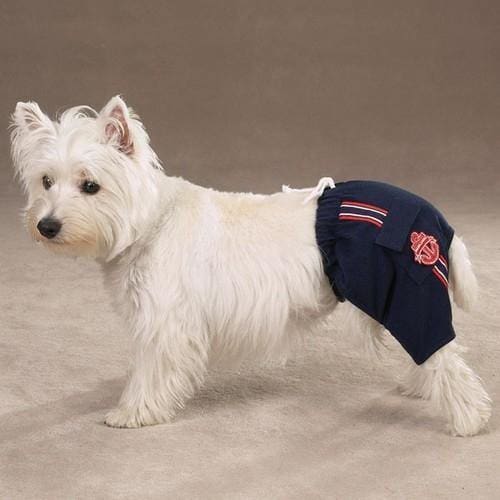 Nautical Sport Trunks for Dogs