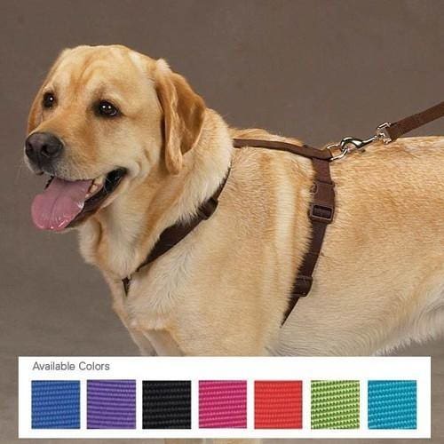 Nylon Dog Harness