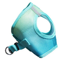 Thumbnail for Ombre Choke Free Dog Harness - Aruba Blue