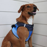 Thumbnail for Ombre Choke Free Dog Harness - Midnight Sky