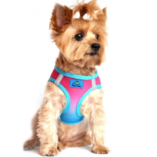 Ombre Choke Free Dog Harness - Sugar Plum