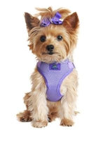 Paisley Purple Fabric Wrap Harness