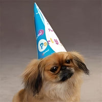 Thumbnail for Party Animal Birthday Hats for Dogs