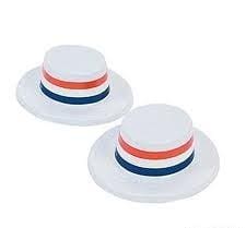 Patriotic Skimmer Dog Hat