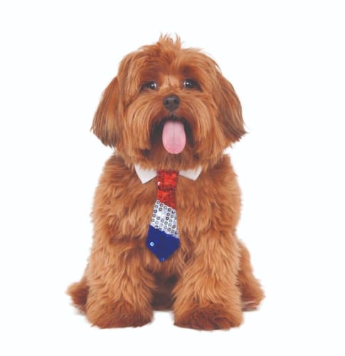 Patriotic Sequin Dog Tie