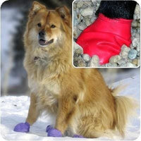 Thumbnail for Pawz Disposable Dog Boots