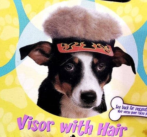 Pet Hat-Flame Visor With Spiky Hair