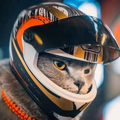 Pet Motorcycle Helmet