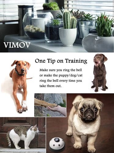 Pet Training Bell