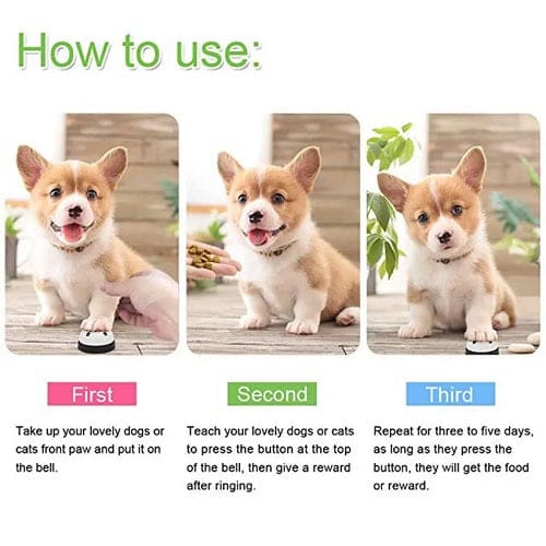 Pet Training Bell
