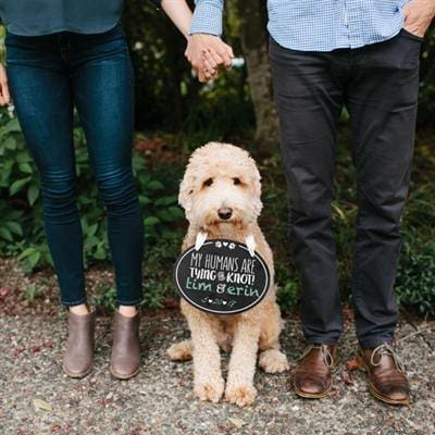Pet Wedding Announcement Chalkboard
