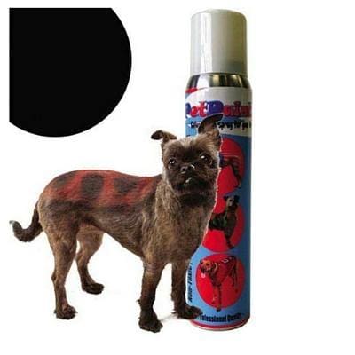 PetPaint Color & Setting Sprays