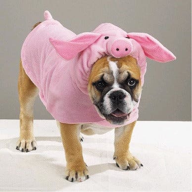 Piggy Pooch Dog Costume