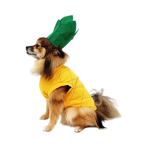 Pineapple Pet Costume