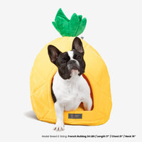 Thumbnail for Pineapple Dog & Cat Fun Bed Prive Collection