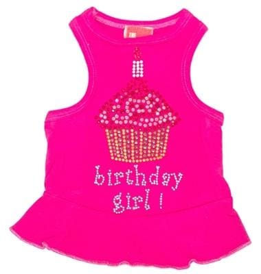 Pink Birthday Cupcake Dog Dress