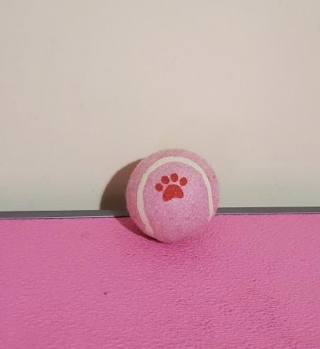 Pink Paw Tennis Ball