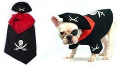 Pirate Costume