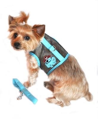 Pirate Octopus Blue and Black Dog Harness