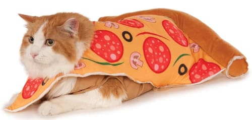 Pizza Slice Cat Costume