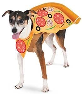 Pizza Slice Costume