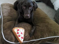 Thumbnail for Pizza Slice Dog Toy
