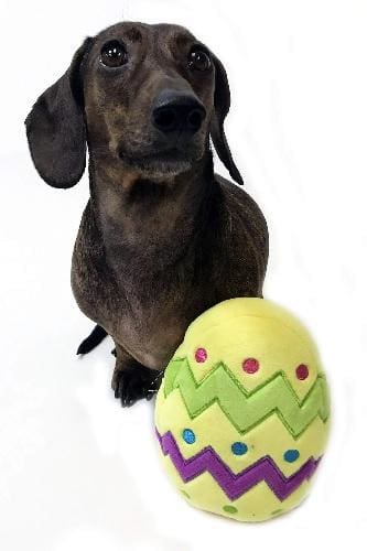 Plush Easter Egg Dog Toy