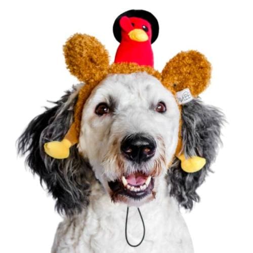 Plush Pilgrim Turkey Thanksgiving Headband