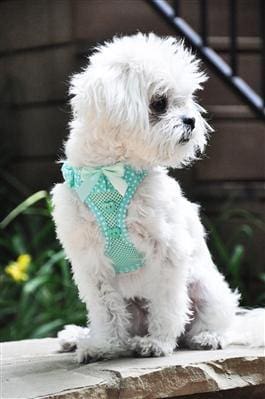 Polka Dot Ruffle Choke Free Dog Harness