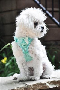 Thumbnail for Polka Dot Ruffle Choke Free Dog Harness