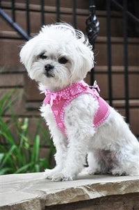 Thumbnail for Polka Dot Ruffle Choke Free Dog Harness