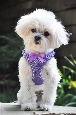 Polka Dot Ruffle Choke Free Dog Harness