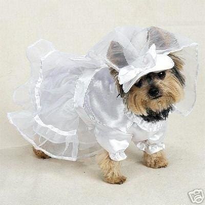 Pooch Wedding Dress Dog Costume