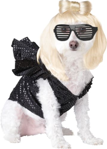 Pop Sensation Costume