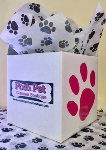 Posh Pet Party Box (Monthly Surprise)