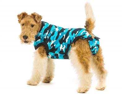 Post Surgical Recovery Suit for Pets