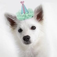 Thumbnail for Pretty Party Hat Clip