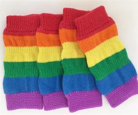 Pride Leg Warmers for Dogs