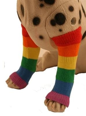 Pride Leg Warmers for Dogs