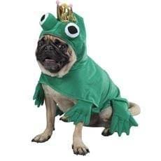 Prince Of Frogs Dog Costume