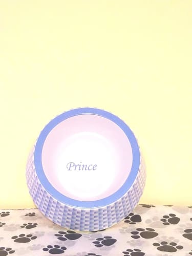 Prince Plaid Dog Bowl