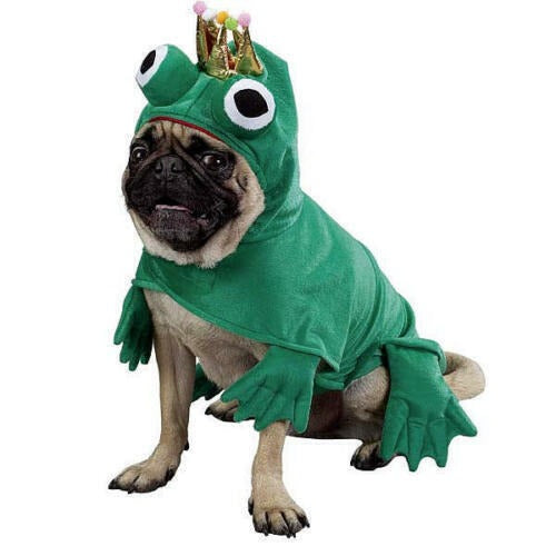 Prince Of Frogs Dog Costume