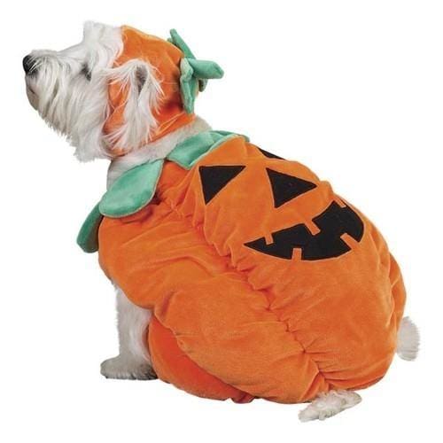 Pumpkin Pooch Dog Costume