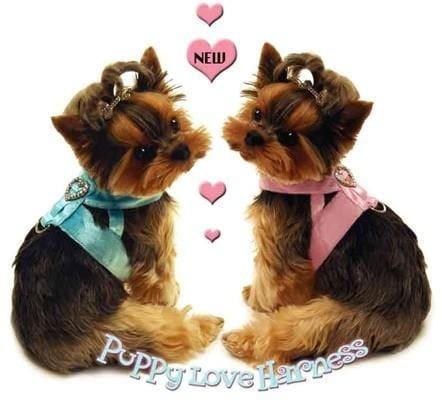 Puppy Love Rhinestone Dog Harness