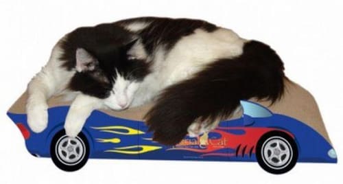 Racing Car Scratcher