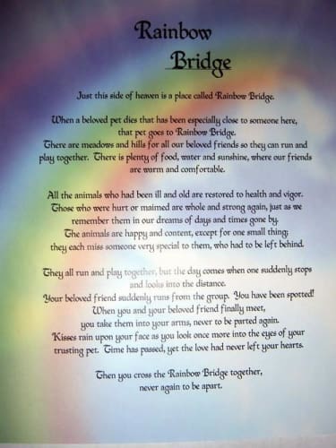 Rainbow Bridge Memorial Unframed