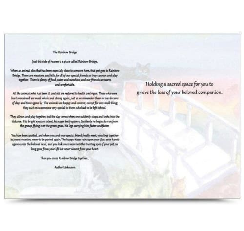 Rainbow Bridge Sympathy Card - Cat
